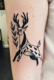 Арм тетоважа материјала девојка руку на биљци и јелени тетоважа слику