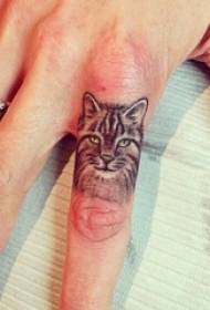 Dziewczyna palec na czarnym nakreśleniu technika nakłuwania super realistyczny obraz tatuażu kota 3d