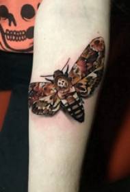 Baile zwierząt tatuaż dziewczyna kolorowy obraz tatuaż ćma na ramieniu