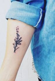 여자 팔에 작은 신선한 식물 문신 간단한 식물 문신 사진