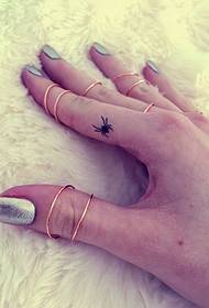 Laba-laba yang indah di jari