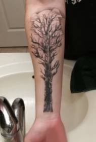 Plant tatoeëring van die seuntjie se arm op swart droë takkiesbeeld   5914 @ Tattoo book girl's arm on life tree and book tattoo picture