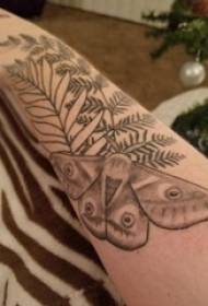 Arm tattoo materiaal meisje arm en plant mot tattoo foto