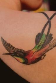 spalla tatuaggio colorato colibrì volante foto