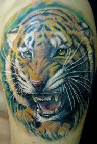 ramena barva realističen in jezen tiger tatoo vzorec