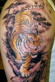 Boja ramena nizbrdo tigrova tetovaža uzorak