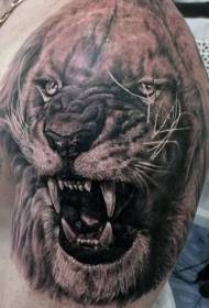 shoulder brown realistic style screaming lion tattoo