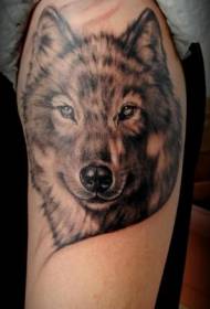 Modèle de tatouage à tête de loup gris noir épaule