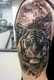 Рамо црна сива измиена шема на тетоважа на тигар