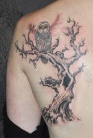 Owl მხრის შავი ნაცრისფერი tattoo ნიმუში ხეზე