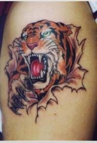 Patrón de tatuaje de cabeza de tigre de color de descamación de hombro