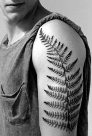 чоловічий плече папороть листя татуювання шаблон