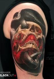 rameno barva realistický had a lebka tetování vzor