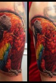 dath datha tattoo parrot dath réalaíoch