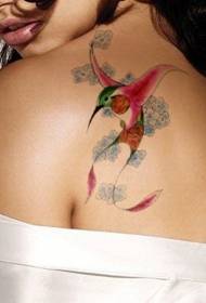 女性の肩の水の色のハチドリのタトゥーパターン