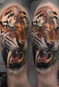mannelijke schouder Kleur brullende tijger tattoo patroon