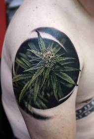 patrón de tatuaje de planta de cannabis de color de estilo realista