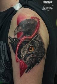 Reālisma stila krāsaini pleci dažādu putnu tetovējumu dizainparaugos