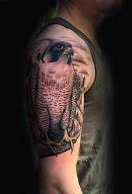 рамо реална природна боја орел шема на тетоважа