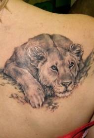 hombro gris descansando leona tatuaje patrón
