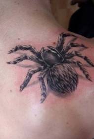 Váll 3D szőrös pók tetoválás minta