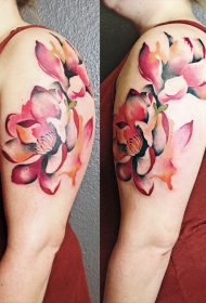 vrouwelijke schouder kleur verschillende bloemen tattoo foto's