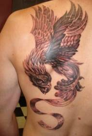phoenix xim kasfes qauv txawv ntawm lub xub pwg ntawm tus txiv neej