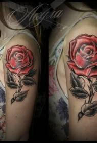 skulderfarge old school rød rose tatovering