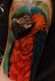 Реалистичный цвет татуировки попугай