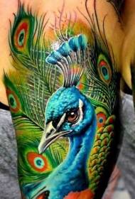 modello di tatuaggio colorato pavone stile realismo spalla