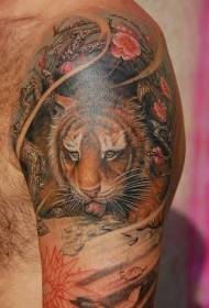 肩膀的顏色逼真的可愛的小老虎紋身圖片