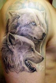 immagine di tatuaggio lupo artico carino spalla grigio