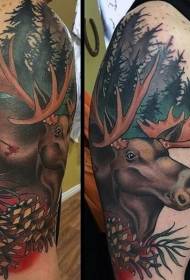 Chikoro chitsva chine ruvara chakakuvara elk musango tattoo maitiro