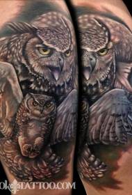 Shoulddị isticdị Realistic Ezigbo ụdị Owl Tattoo