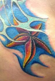 Starfish pola ing banyu tato