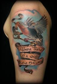 Braço grande belo pássaro colorido letra chave tatuagem padrão