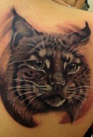 Patrón de tatuaxe de gato colorido bonito na parte traseira