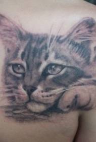 Indietro modello di tatuaggio gatto triste