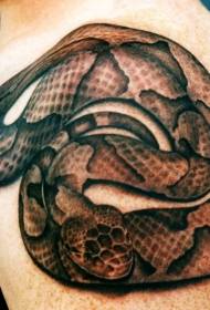Patrón de tatuaxe de serpe marrón no ombreiro