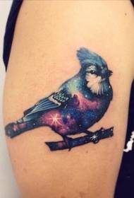 Lengan besar gaya realistis yang luar biasa penuh warna pola tato burung berbintang