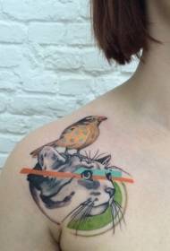 Mačje lice u boji ramena, realizam u stilu s tetovažom ptica