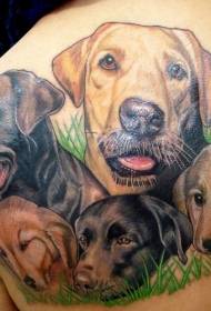 Gruppo colorato posteriore di disegni del tatuaggio avatar cane