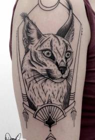 Chat sauvage avec gros tatouage de lune