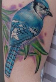 Uključuje spektakularne šarene prirodne ptičje tetovaže