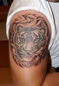 Veľké rameno roztomilé modré oči tigrie tetovanie vzor