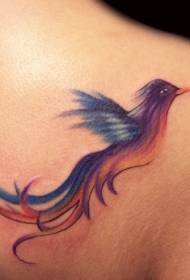 Modello bellissimo tatuaggio uccello colorato sulla spalla