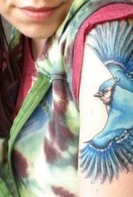 Голема птица која лета сина птица шема за тетоважа