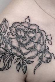Рамената црна линија едноставна шема за тетоважа со роза