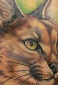 Simple realistic color wild cat tattoo pattern on the back
