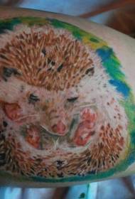 Grote hoepel gekleurde schattige kleine egel tattoo patroon